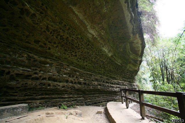 嘉義縣 竹崎→瑞水公路→瑞里→瑞峰→太興→瑞水公路→竹崎