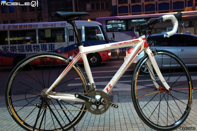來自義大利的名駒-BASSO