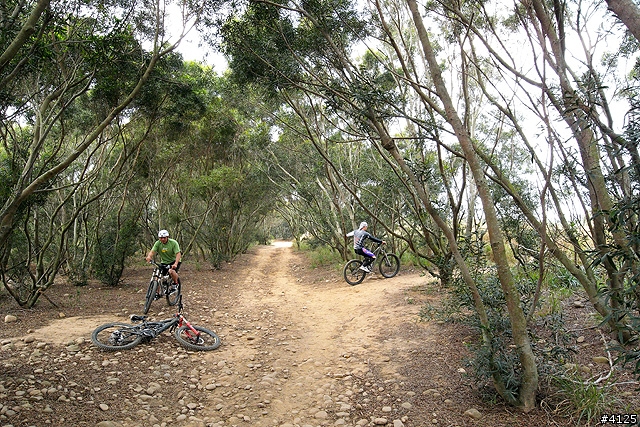 胖的大肚山 Off Road 體驗