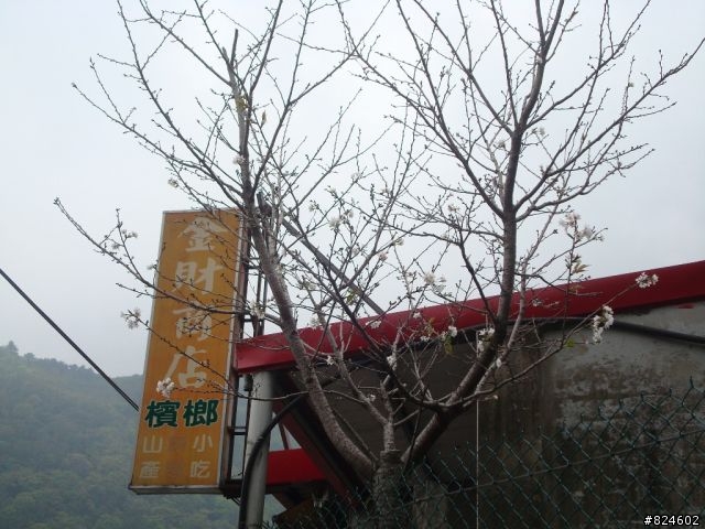 "宇老大"是誰, 幹麻老是在"滿貫"