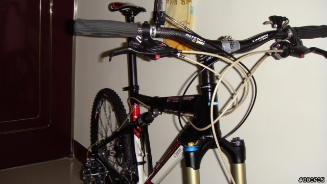 分享我的拼裝車DECATHLON 9.1