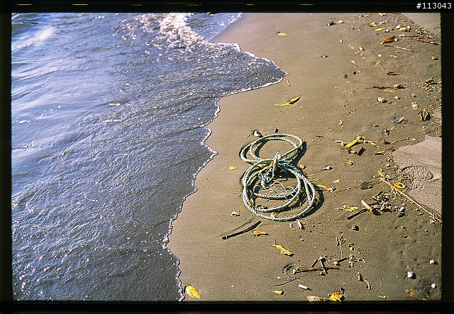 【分享】福倫達家的八枚玉~~Voigtlander NOKTON classic 35mm/F1.4