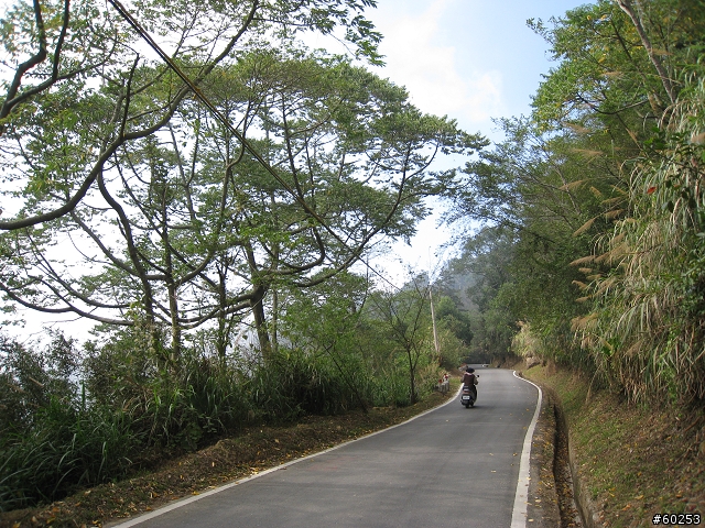 嘉義縣 竹崎→瑞水公路→瑞里→瑞峰→太興→瑞水公路→竹崎