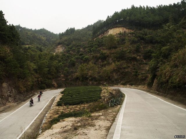 廈門西坑之大霧濛濛