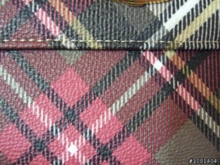 我的新"財布" Vivienne Westwood!!