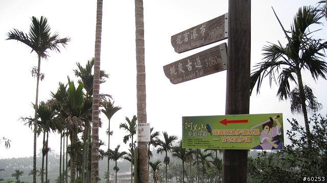 嘉義縣 竹崎→瑞水公路→瑞里→瑞峰→太興→瑞水公路→竹崎