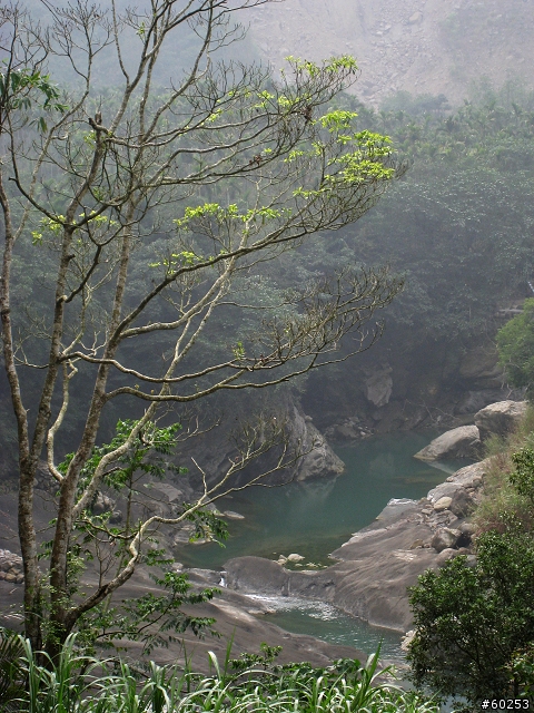 嘉義縣 竹崎→瑞水公路→瑞里→瑞峰→太興→瑞水公路→竹崎