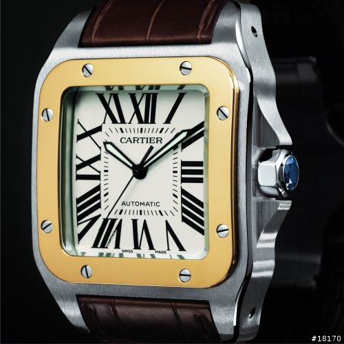 [分享]Cartier Santos 100