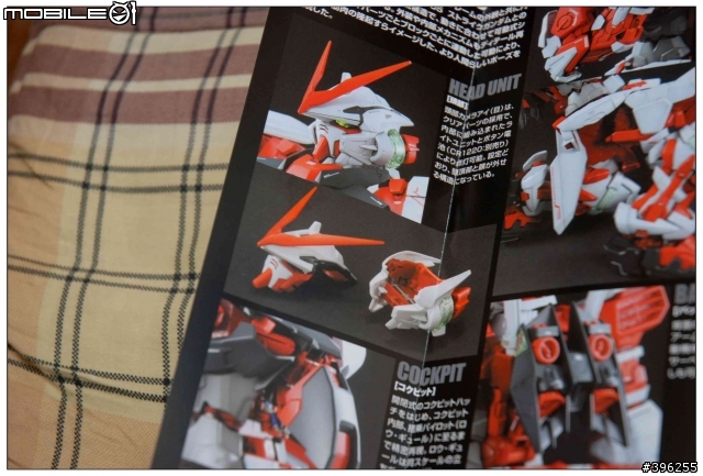 PG 1/60初回限定版紅色異端開箱文