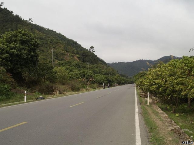 廈門西坑之大霧濛濛
