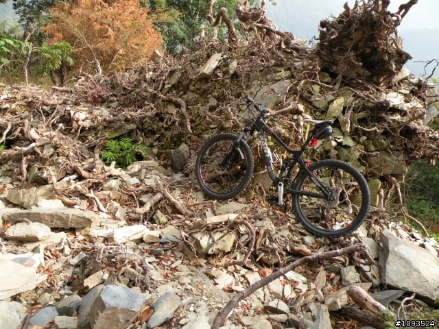 沙溪林道騎到沒路(36K)