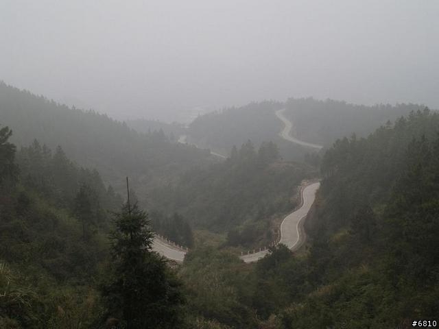 廈門西坑之大霧濛濛