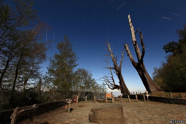 5DII 高山長曝星軌及高ISO夜空測試(夫妻樹、合歡山)