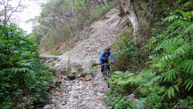 沙溪林道騎到沒路(36K)