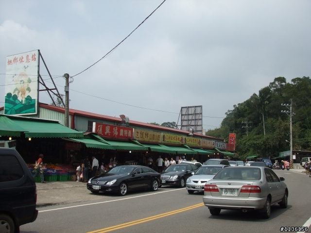 2009年酷爾盃CUORE自由車錦標賽競賽之路線模擬練習