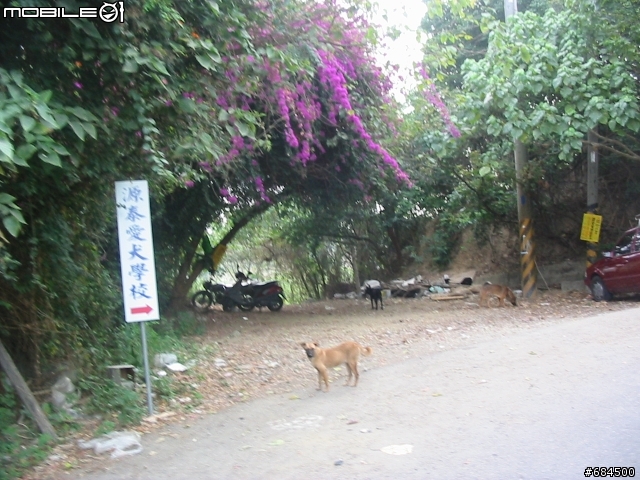 高雄縣 大竹村鳳梨園+東照山關帝廟環線
