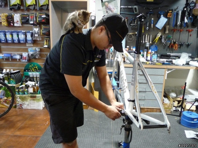 太座 頂著先的愛駒 CINELLI LITTLE WING