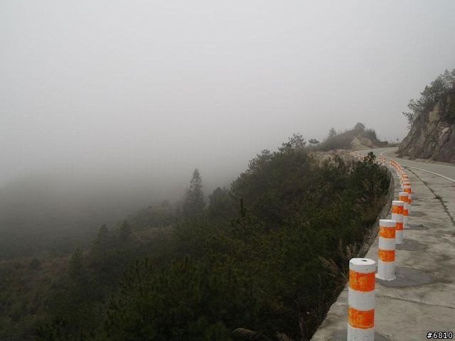 廈門西坑之大霧濛濛