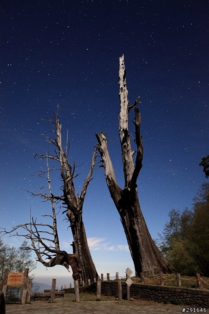 5DII 高山長曝星軌及高ISO夜空測試(夫妻樹、合歡山)
