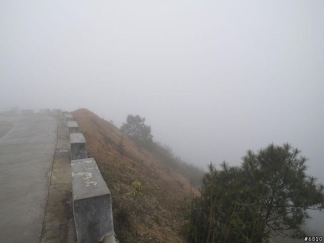 廈門西坑之大霧濛濛