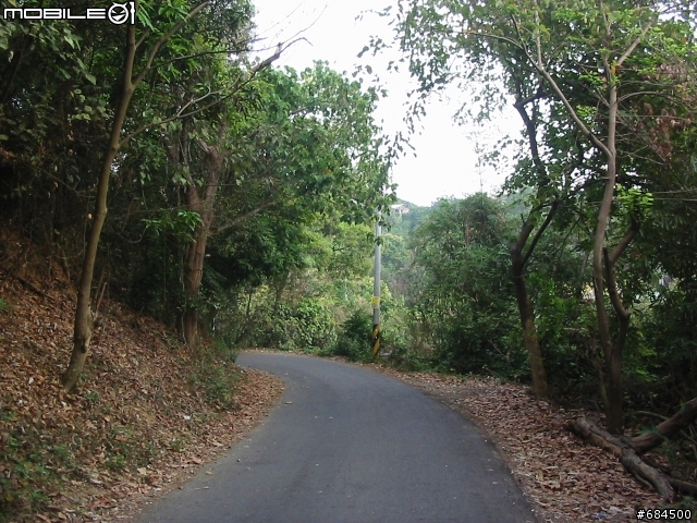 高雄縣 大竹村鳳梨園+東照山關帝廟環線