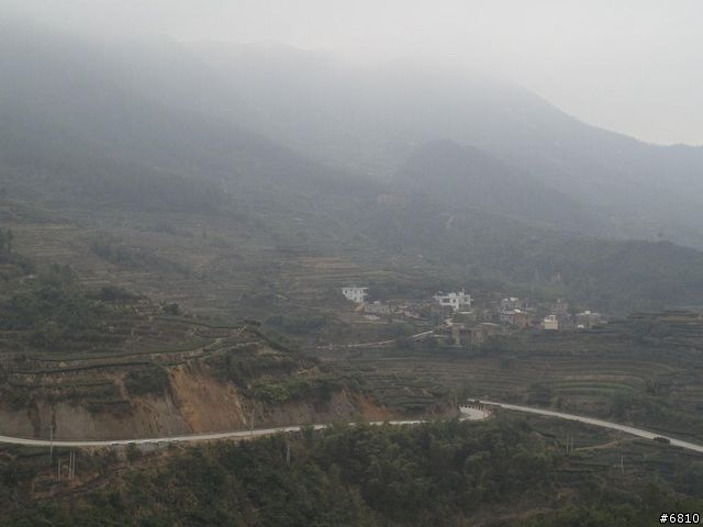 廈門西坑之大霧濛濛