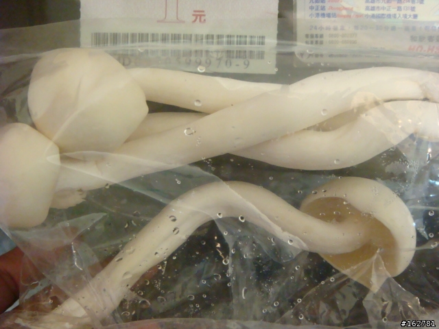 這香菇!! 有毒!? 無毒!?