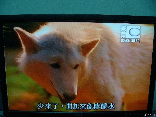 Compro W800F開箱評測
