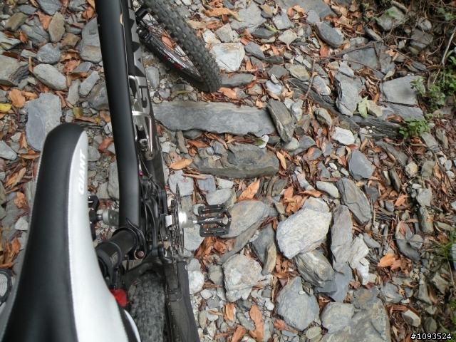 沙溪林道騎到沒路(36K)