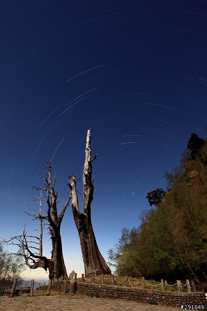 5DII 高山長曝星軌及高ISO夜空測試(夫妻樹、合歡山)