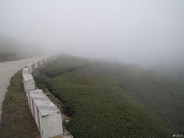 廈門西坑之大霧濛濛