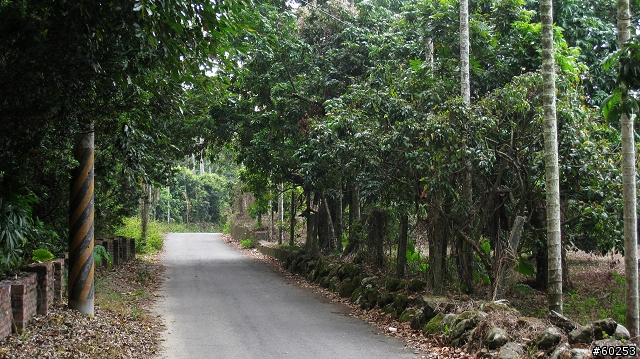 嘉義縣 竹崎→瑞水公路→瑞里→瑞峰→太興→瑞水公路→竹崎
