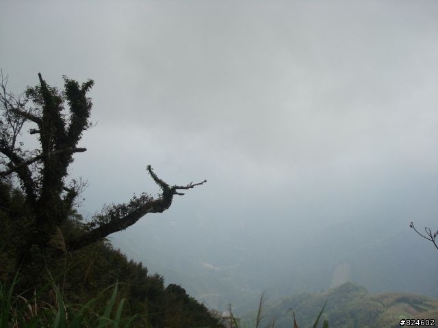 "宇老大"是誰, 幹麻老是在"滿貫"