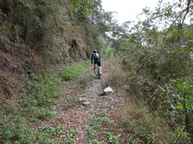 沙溪林道騎到沒路(36K)