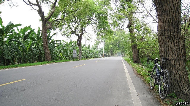 南投縣 名間→二水→松柏嶺→名間