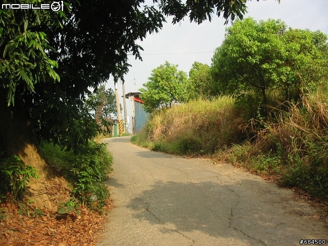 高雄縣 大竹村鳳梨園+東照山關帝廟環線