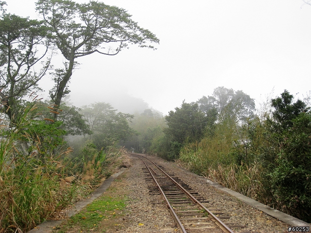 嘉義縣 竹崎→瑞水公路→瑞里→瑞峰→太興→瑞水公路→竹崎