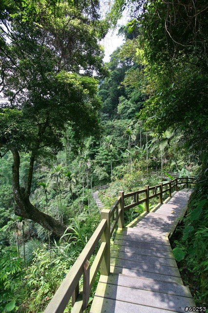 嘉義縣 竹崎→瑞水公路→瑞里→瑞峰→太興→瑞水公路→竹崎