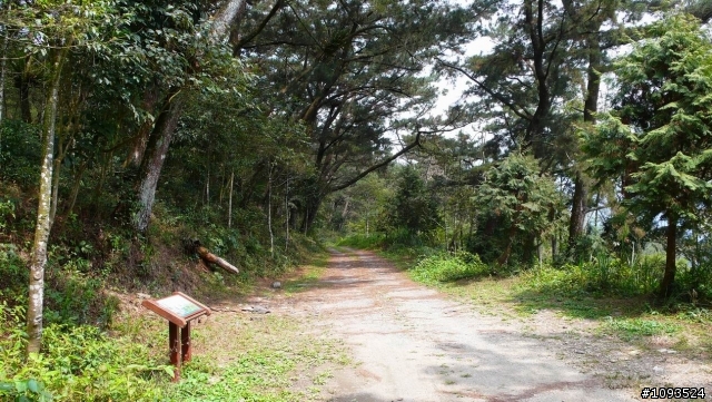 沙溪林道騎到沒路(36K)