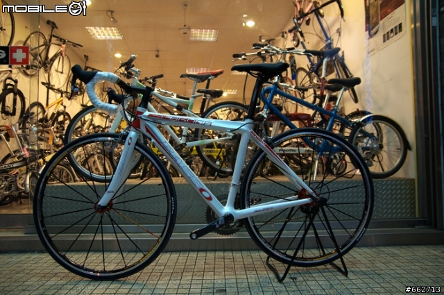 來自義大利的名駒-BASSO