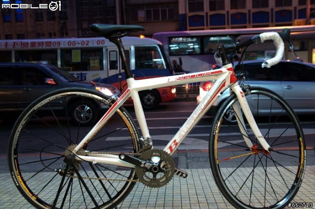 來自義大利的名駒-BASSO