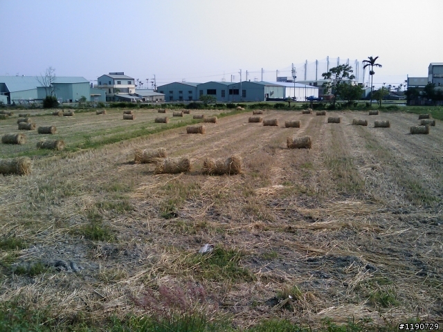 今天下午沒班~!跑去都會又去鰲峰山公園