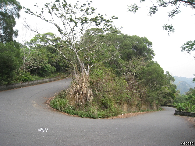 南投縣 名間→二水→松柏嶺→名間