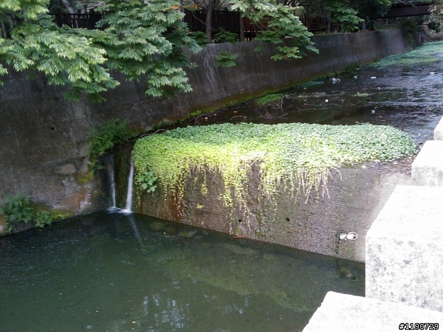 今天下午沒班~!跑去都會又去鰲峰山公園
