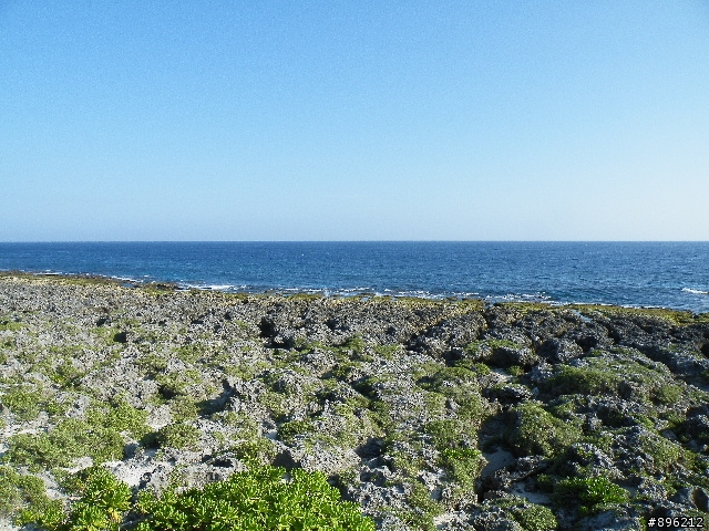 不負責之三鐵環島(小折花東墾丁輕鬆騎)