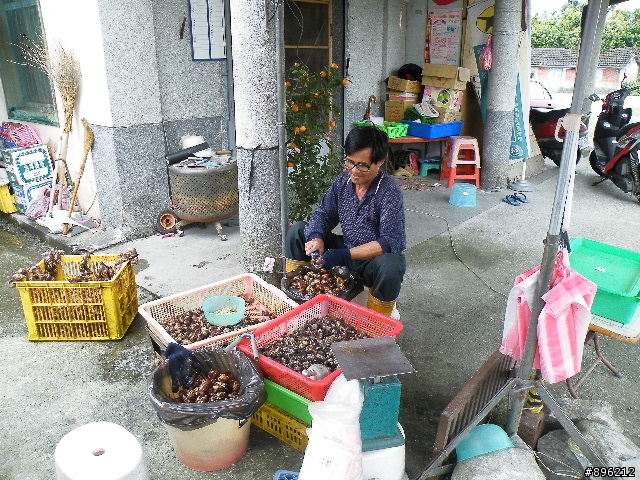 不負責之三鐵環島(小折花東墾丁輕鬆騎)