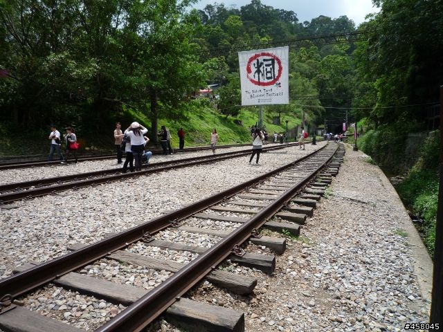 2009苗栗油桐花搶先報