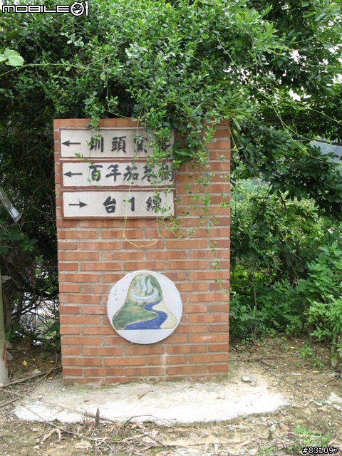桐花祭-銀保善存雙人組銅鑼賞花鐵馬行