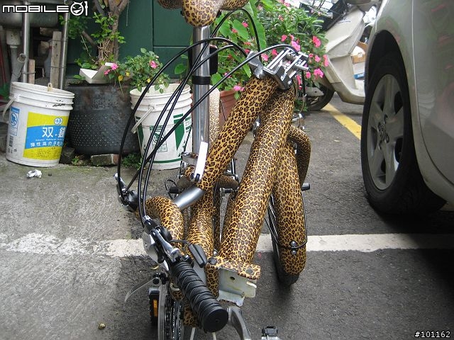 前無古人「包皮」腳踏車-4/30更新