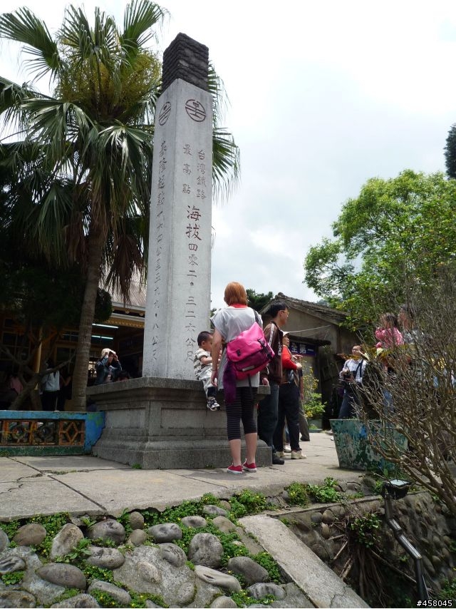 2009苗栗油桐花搶先報
